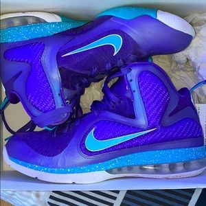 Lebron 9 Hornets
